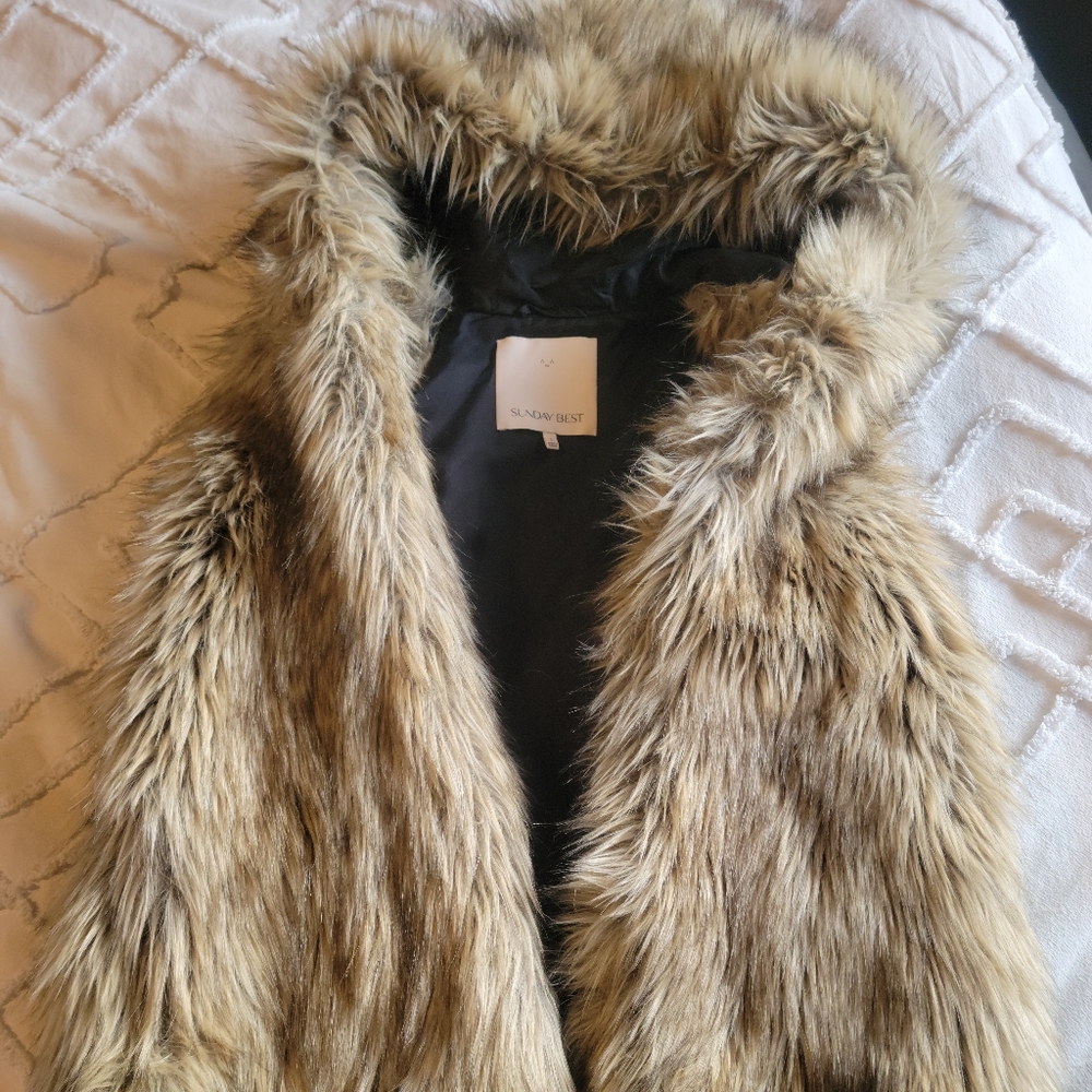 Faux-fur aritzia vest